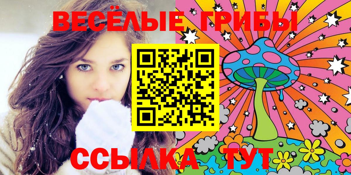 Галлюциногенные грибы MAGIC MUSHROOMS  Вход с VPN  Камень-на-Оби  Псилоцибиновые грибы Psilocybine cubensis 